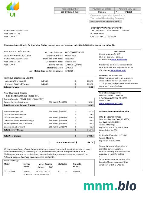 USA Massachusetts Chelsea UI United Illuminating Company rachunek za usługi komunalne Word and PDF template
